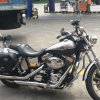 [PD] Harley Davidson - 0013
